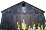 Old Wood